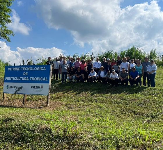 Estação de pesquisa do IDR-Paraná em Morretes recebe dirigentes da rede Asbraer