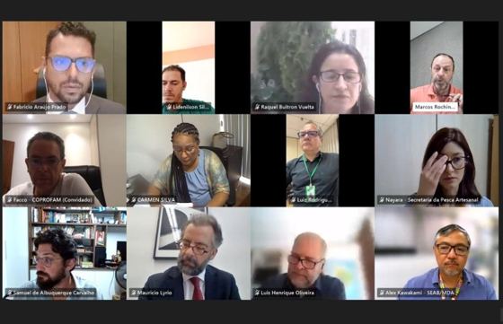 Comitê de Assuntos Internacionais do Condraf debate relações comerciais entre o Mercosul e a União Europeia